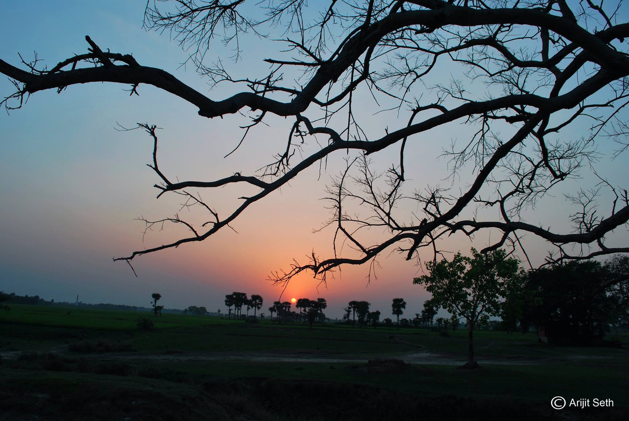 Natural Photography